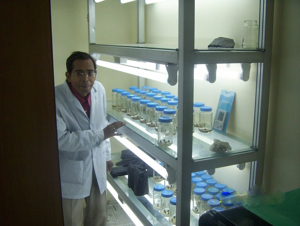 tissue culture at ibs